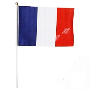 Bandera de Francia con palo 30x45cm