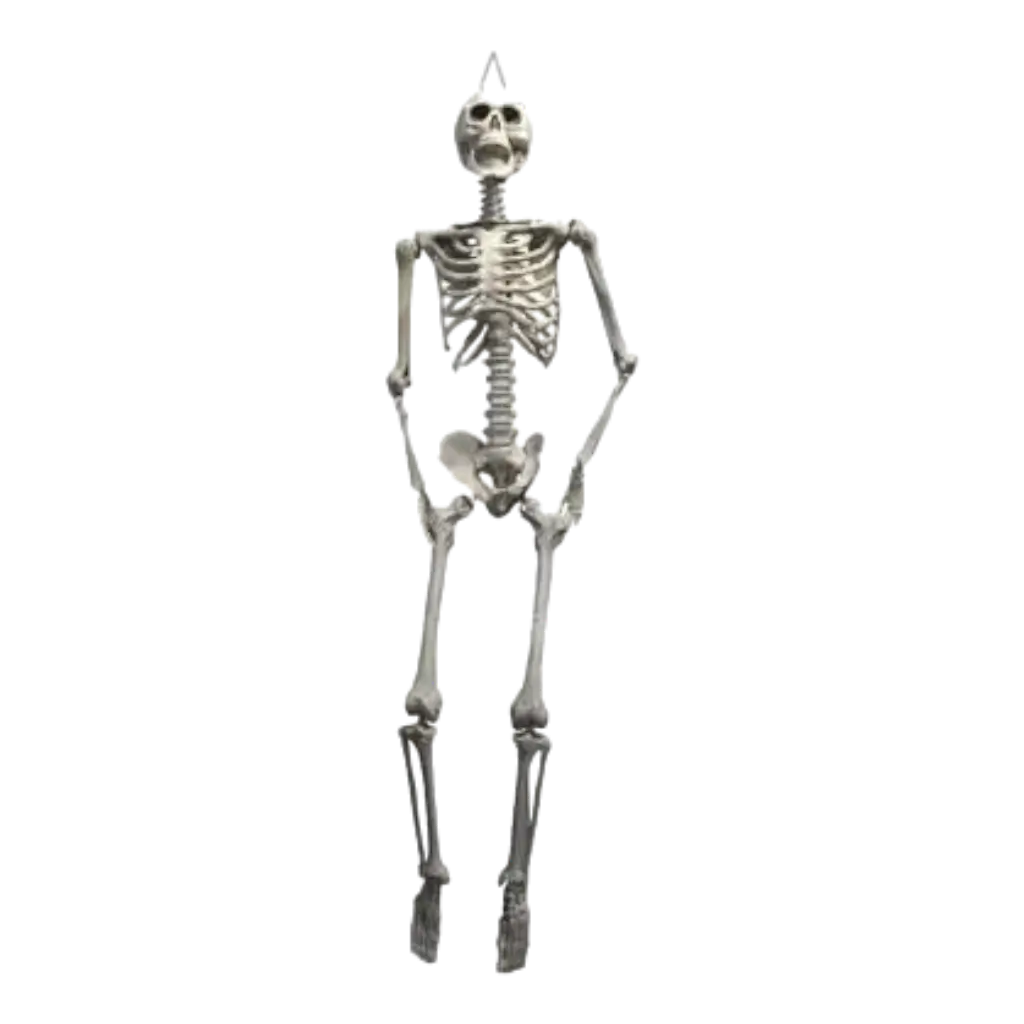 Esqueleto gigante para colgar 200cm