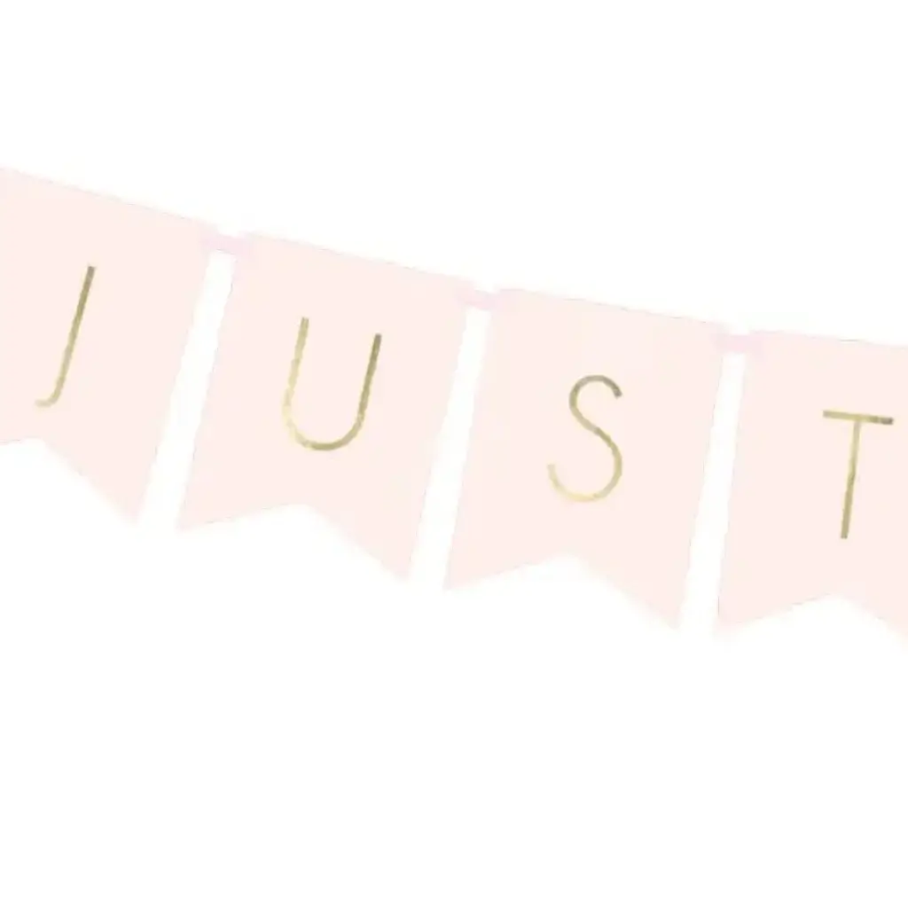 El estandarte de la pared de la boda de Just Married Pink