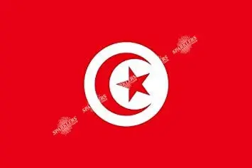 Bandera de Túnez 90x150cm