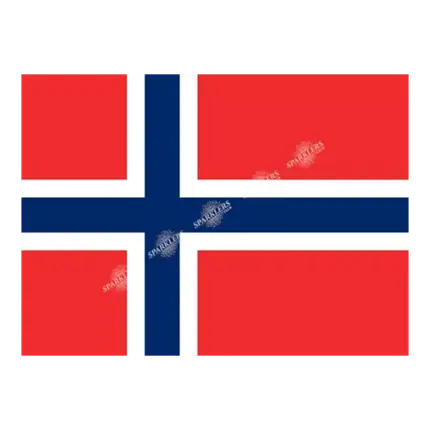 Bandera de Noruega 90x150cm