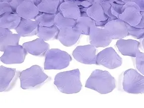100 pétalos de rosa púrpura