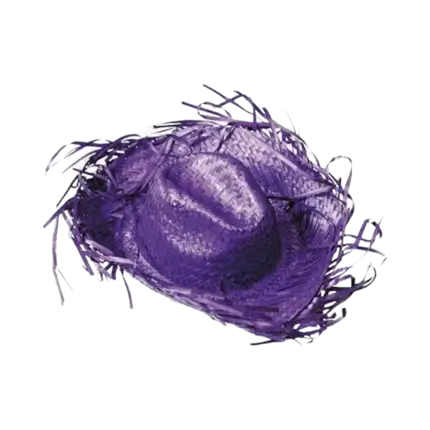 Sombrero de vaquero púrpura del Caribe