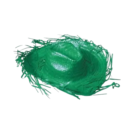 Sombrero de vaquero verde del Caribe