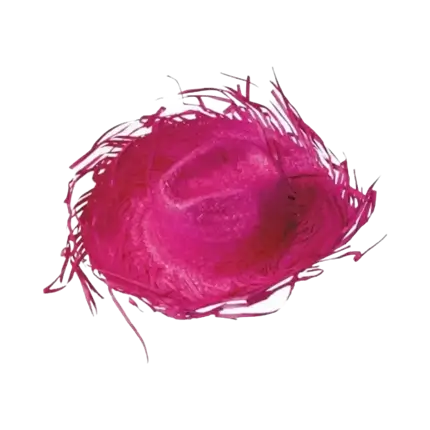 Sombrero de vaquero del Caribe rosa