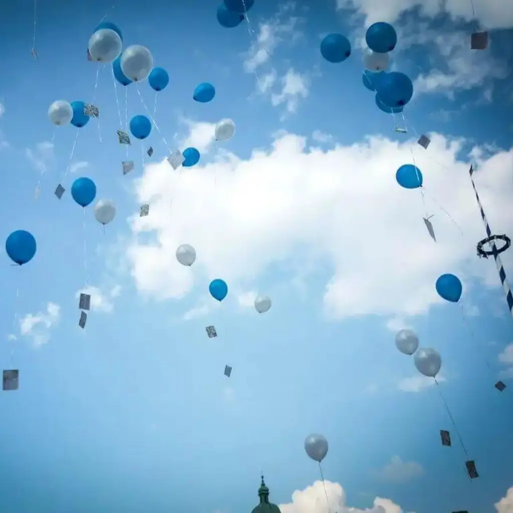 Red de lanzamiento de globos (200 globos)