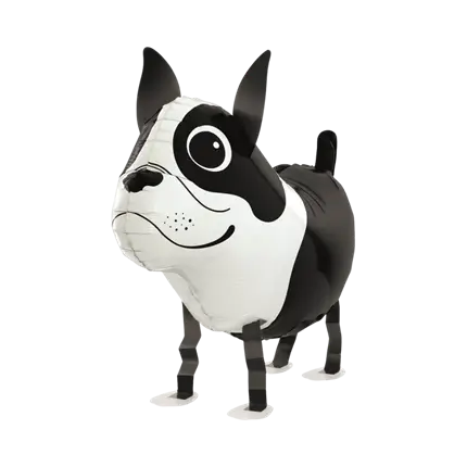 Bola de perro Boston Terrier 48cm