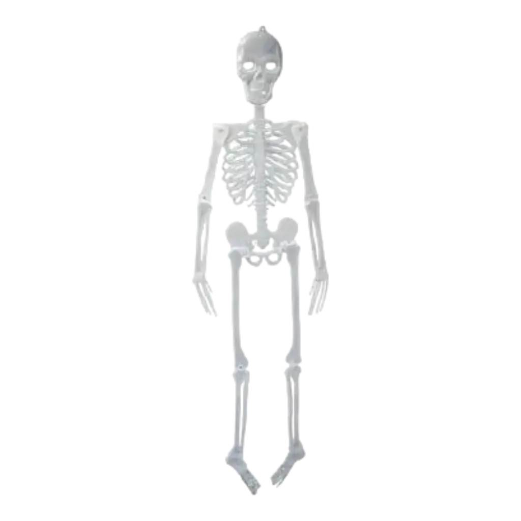 Esqueleto gigante fosforescente - 150cm