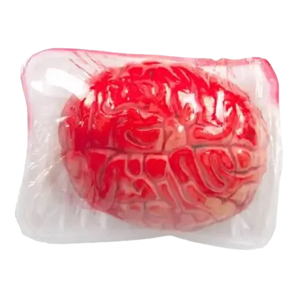 CEREBRO XL EN BANDEJA - 16 X 12 CM