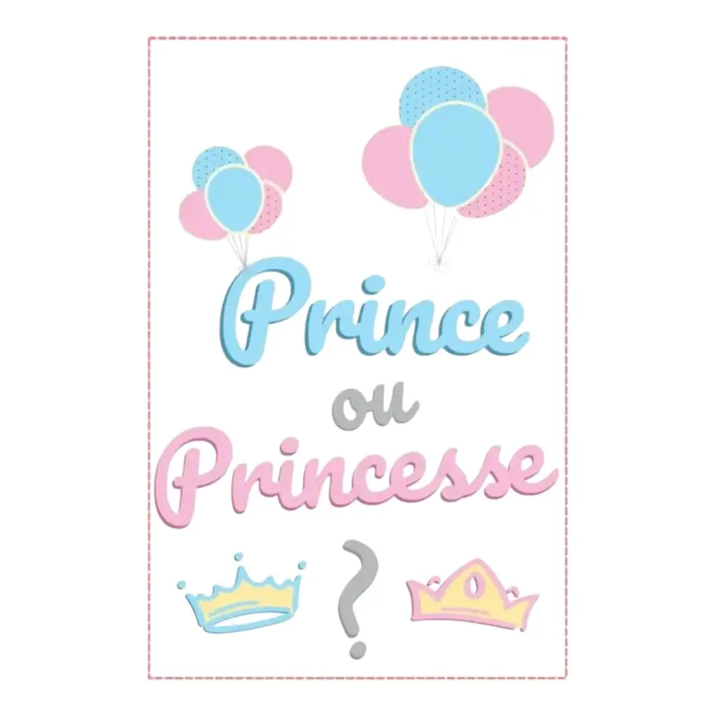 Guirnalda de banderas de papel "¿Príncipe o Princesa?" - 5 m