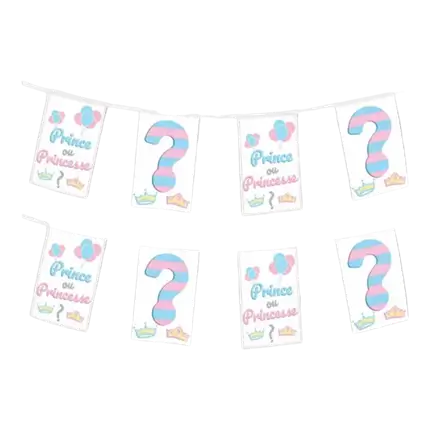 Guirnalda de banderas de papel ¿Príncipe o Princesa? - 5 m