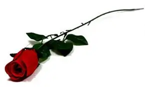 Flor Artificial Tipo Rosa con Tallo