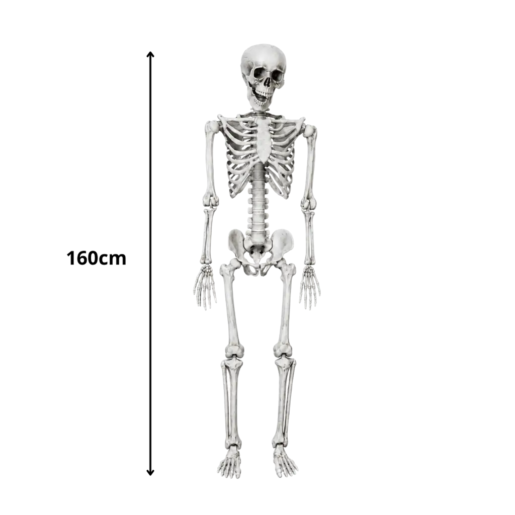 ESQUELETO GIGANTE - TAMAÑO HUMANO - 160CM