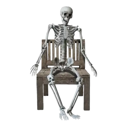 ESQUELETO GIGANTE - TAMAÑO HUMANO - 160CM