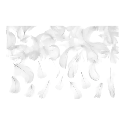 Pluma decorativa - Blanco - 3g