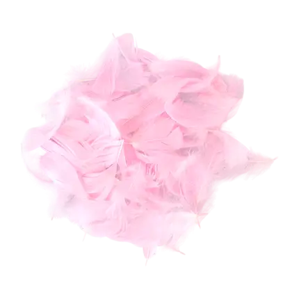Pluma decorativa - Rosa Claro - 3g