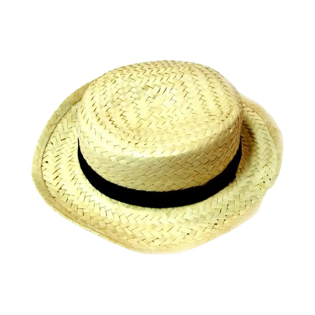 Sombrero de campo de paja tejida