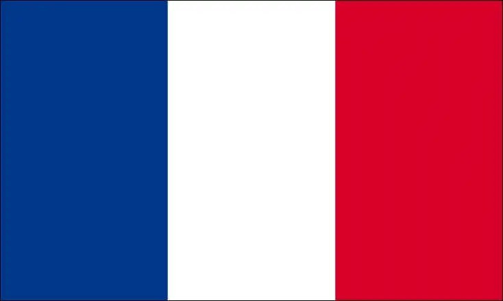 Bandera Tricolor de Francia 60x90cm con Funda