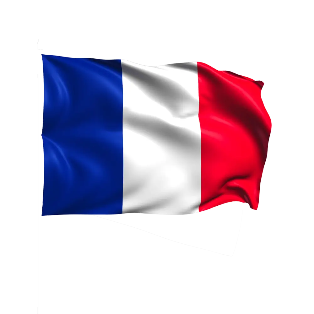 Bandera Tricolor de Francia 60x90cm con Funda