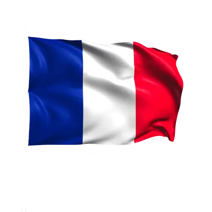 Bandera Tricolor de Francia 60x90cm con Funda