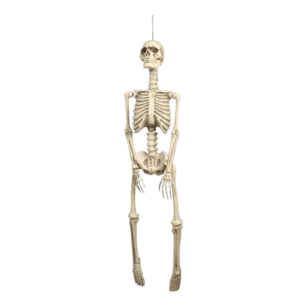 Esqueleto colgante de 92 cm para decoración de Halloween