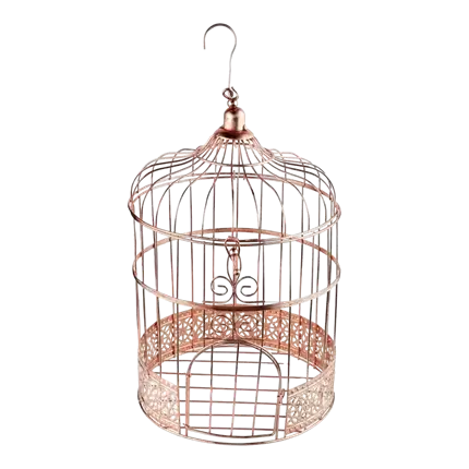 Hucha Cage Rosa metalizado