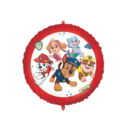 Bola redonda Pat'Patrouille