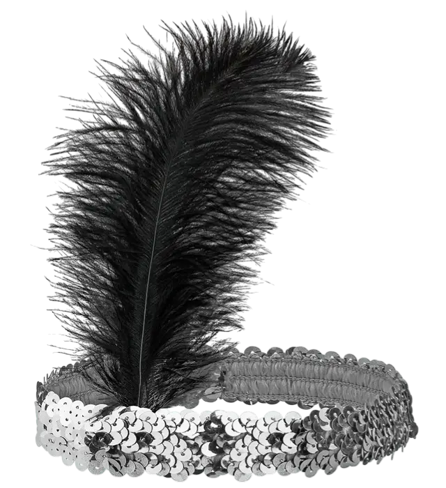 " DIADEMA DE PURPURINA PLATEADA CON PLUMAS