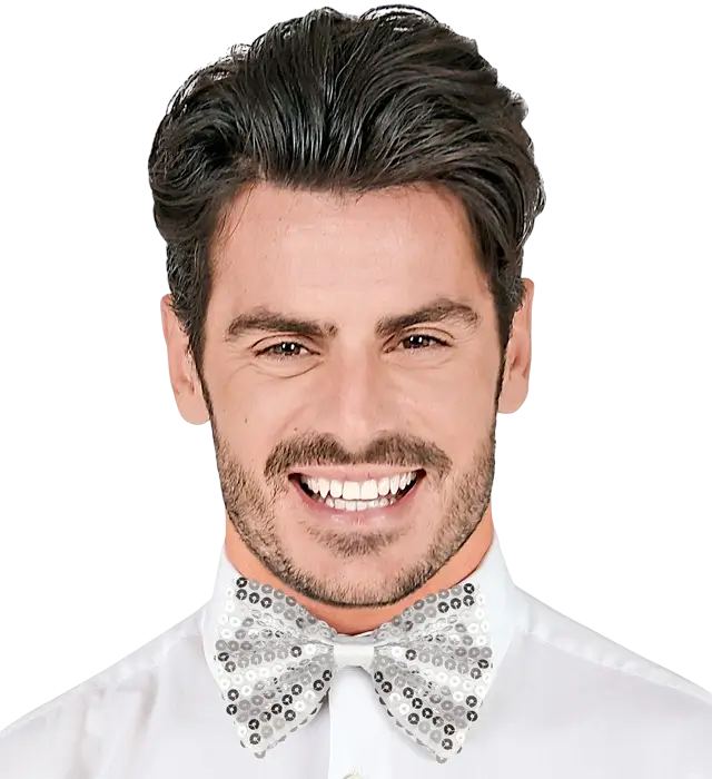 " PAJARITA DE LENTEJUELAS PLATEADAS