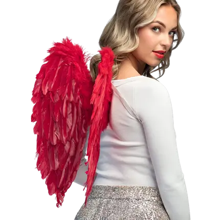 Alas de ángel Divino rojo 50x50cm