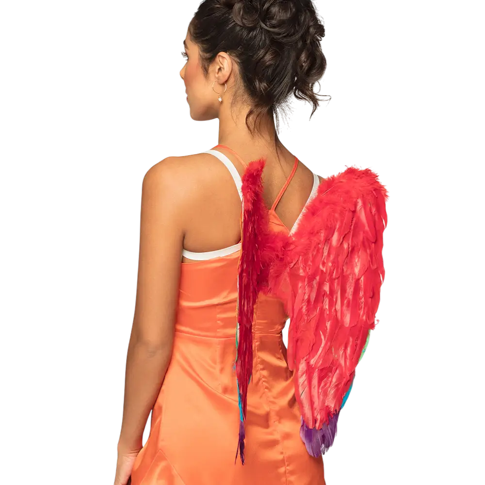 Alas de ángel Arco iris divino 50x50cm