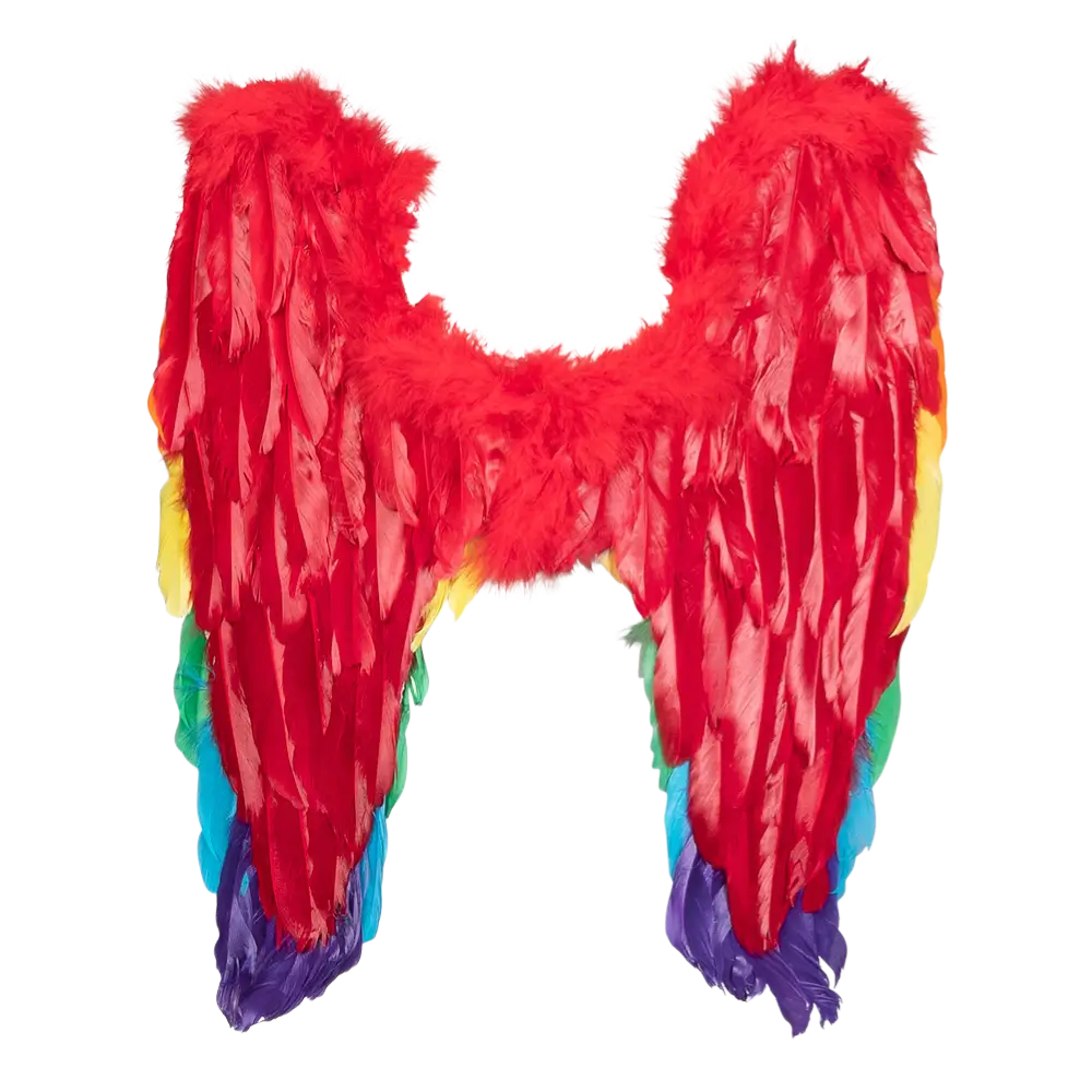 Alas de ángel Arco iris divino 50x50cm