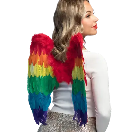 Alas de ángel Arco iris divino 50x50cm