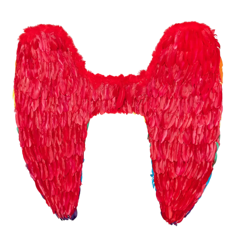 Alas de ángel Celina arco iris 120x120cm