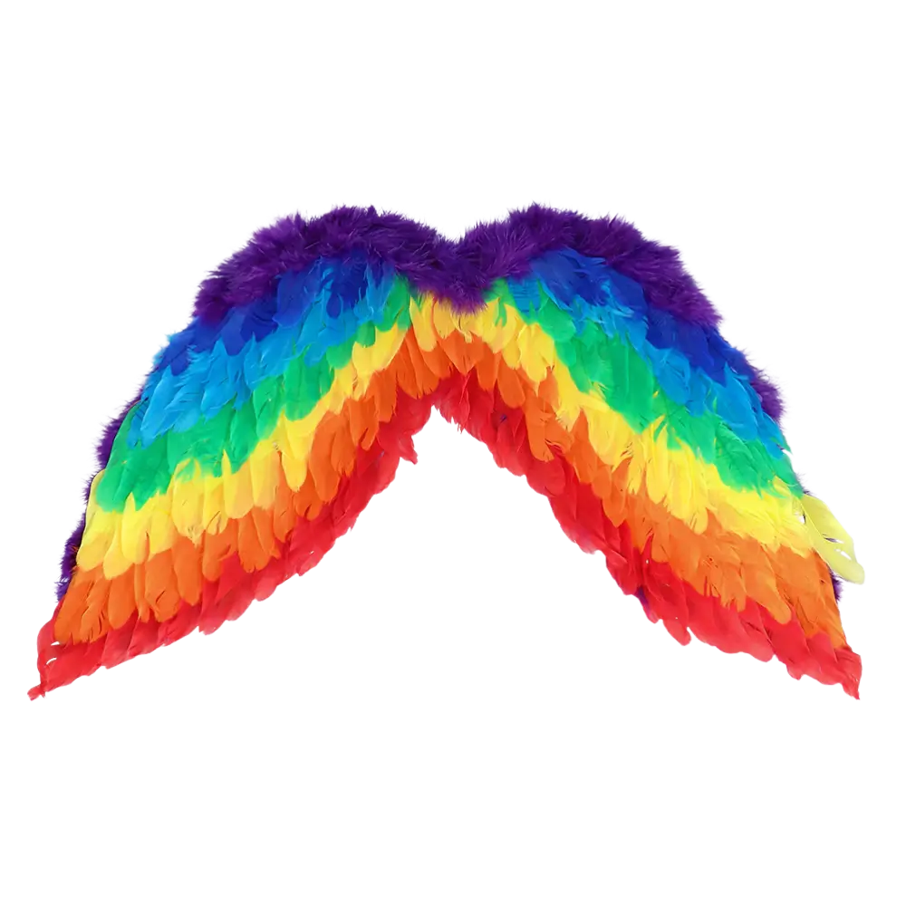 Juego de ángeles arco iris