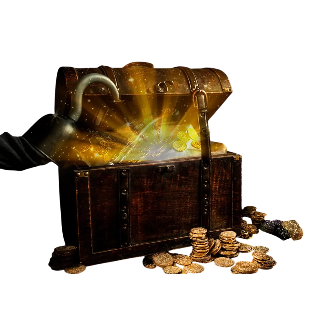 Bolsillo pirata con 12 monedas