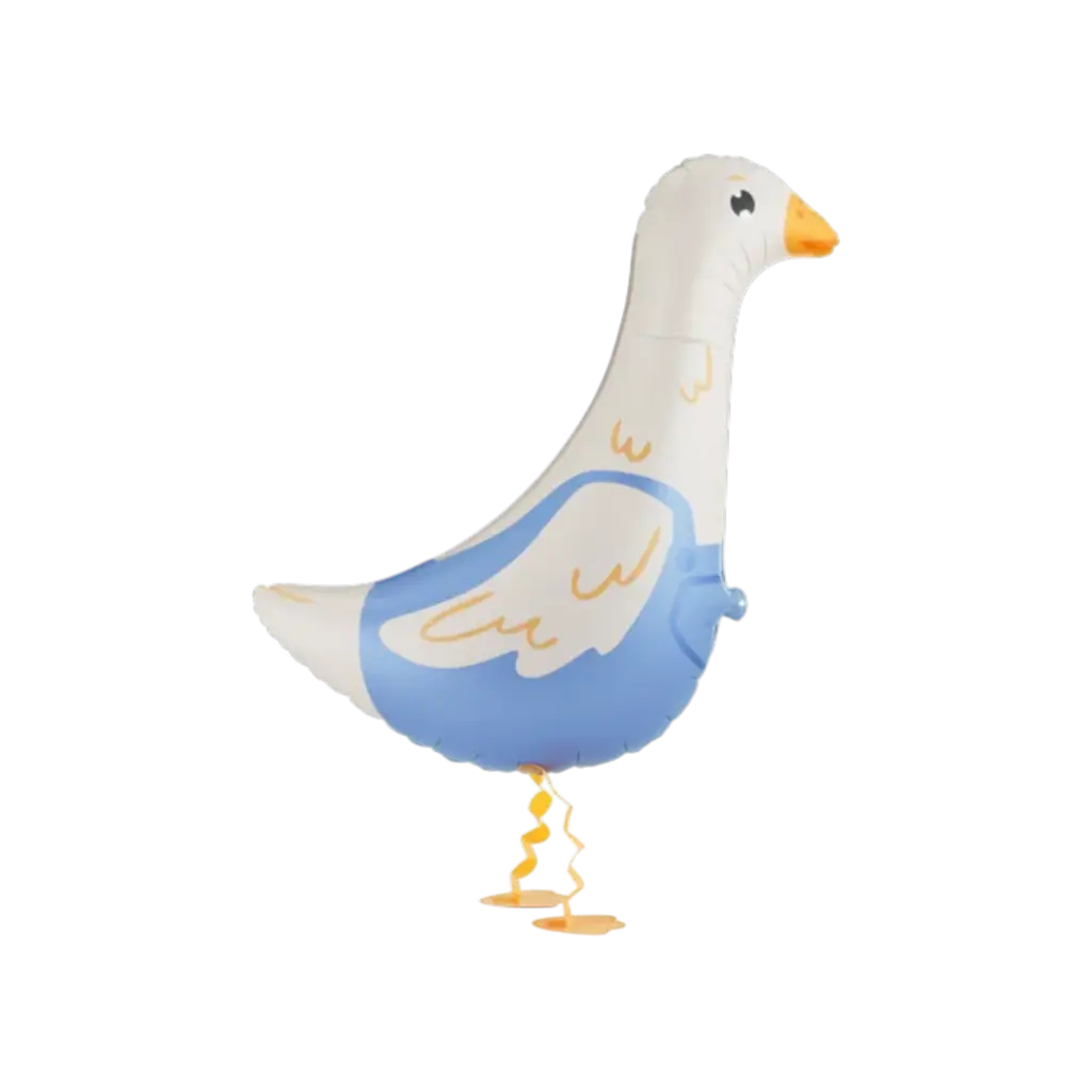 Bola de ganso 47,5x69,5cm