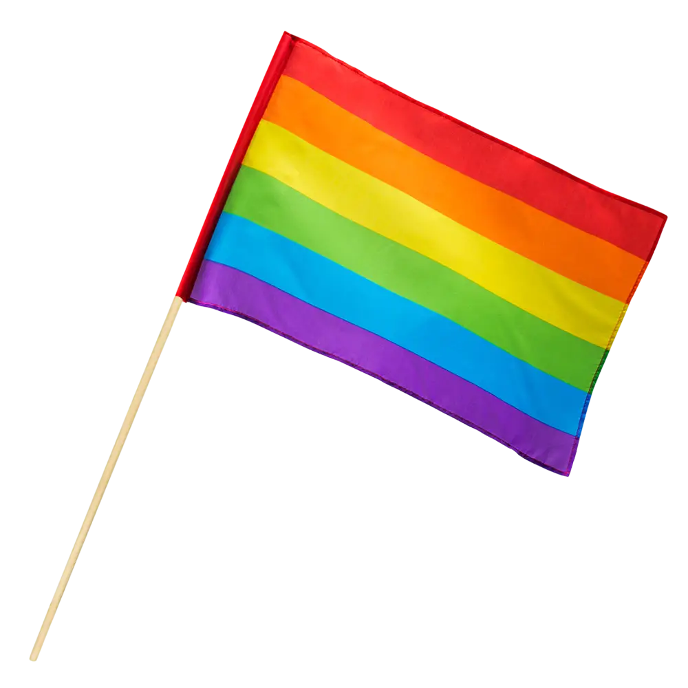 Bandera de mano de poliéster arco iris