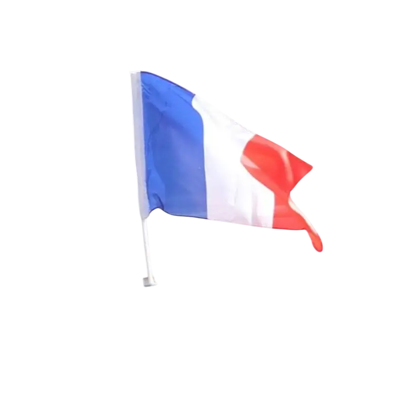 FRANCIA bandera de poliéster coche con mástil 45 x 30 cm