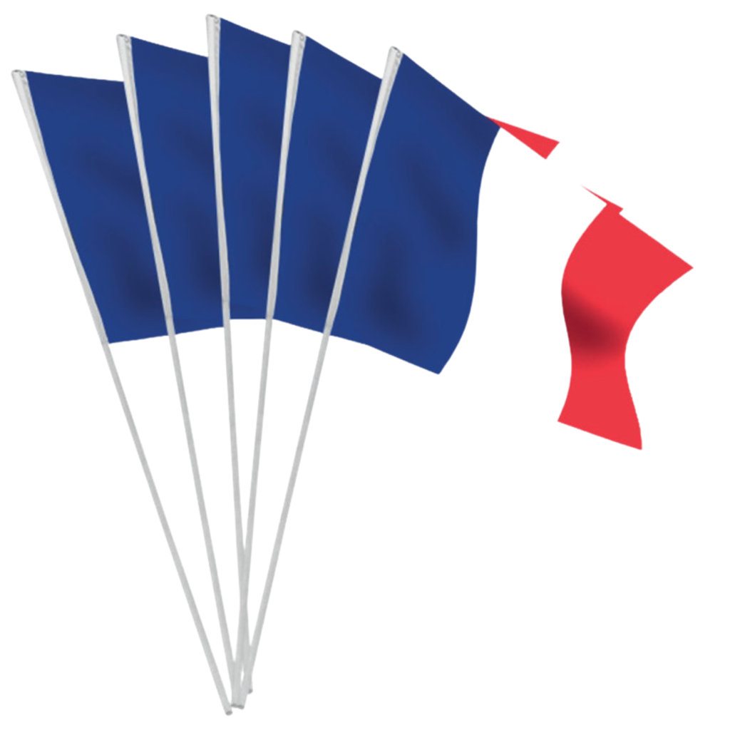 Lote de 100 banderas tricolores pequeñas Francia