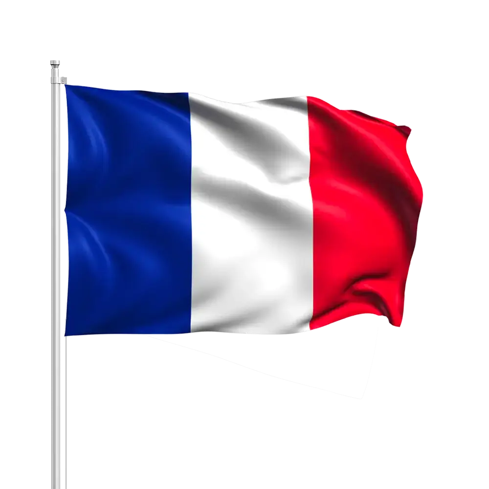Banderas de Francia con Baguette 14x21cm