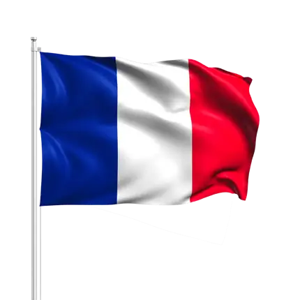 Banderas de Francia con Baguette 14x21cm