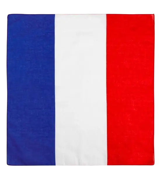 Bandana Francia 55 cm en algodón - Supporter y disfraces