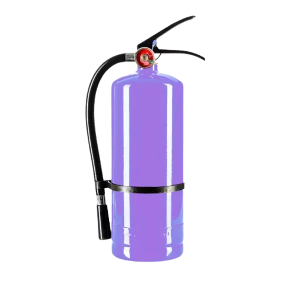 Extintor de polvo Holi Violet - 5 kg