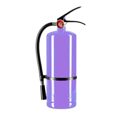 Extintor de polvo Holi Violet - 5 kg