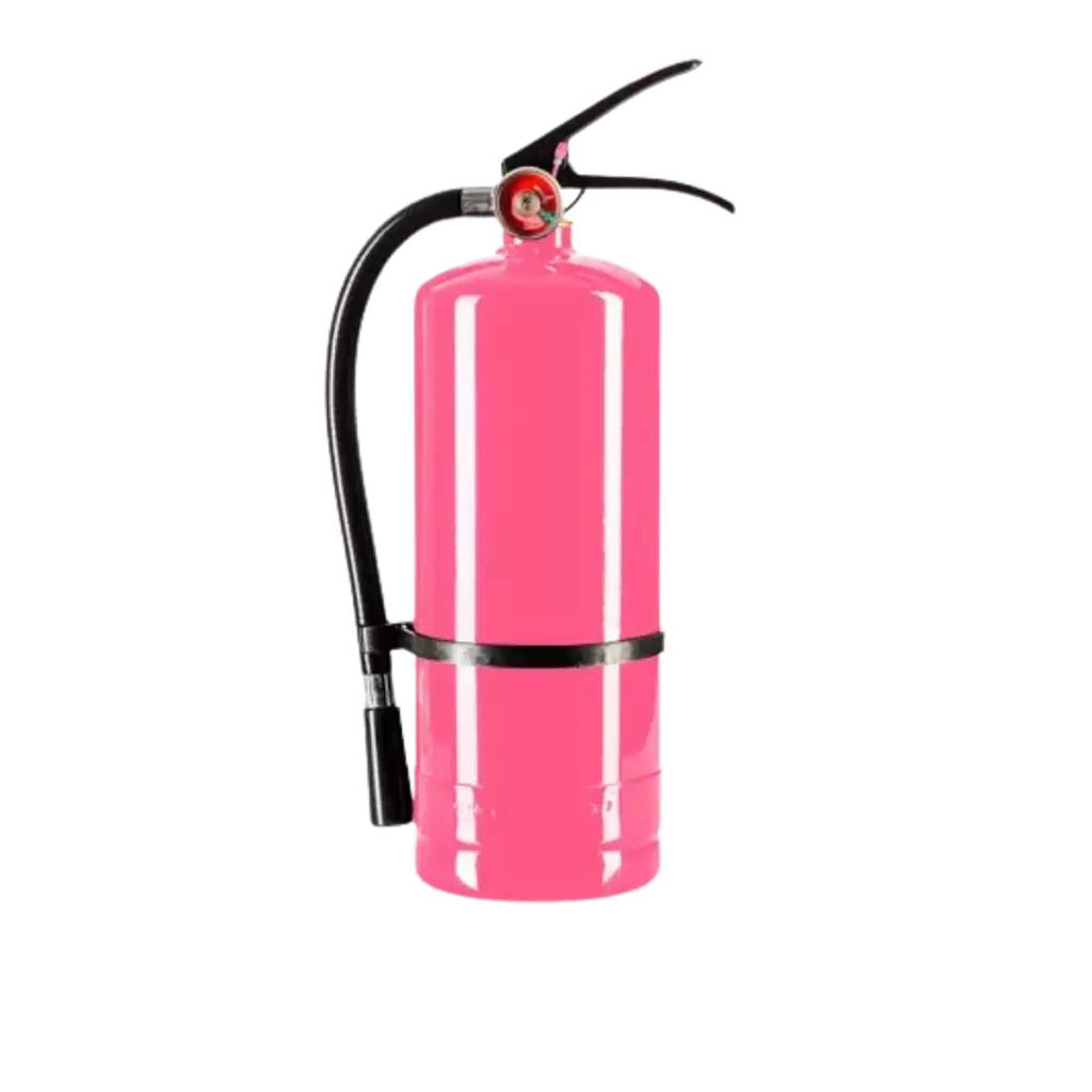Extintor de polvo Holi Rose - 5 kg