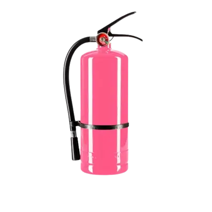 Extintor de polvo Holi Rose - 5 kg