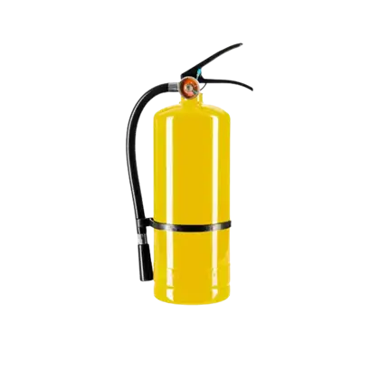Extintor de polvo Holi amarillo - 5 kg