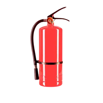 Extintor de polvo Holi Rojo - 5 kg