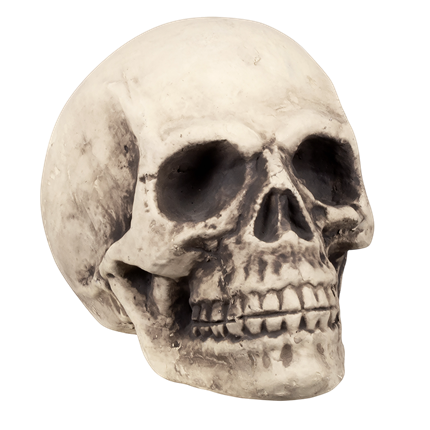 Calavera gigante de 27 x 27 x 38 cm – Decoración de Halloween
